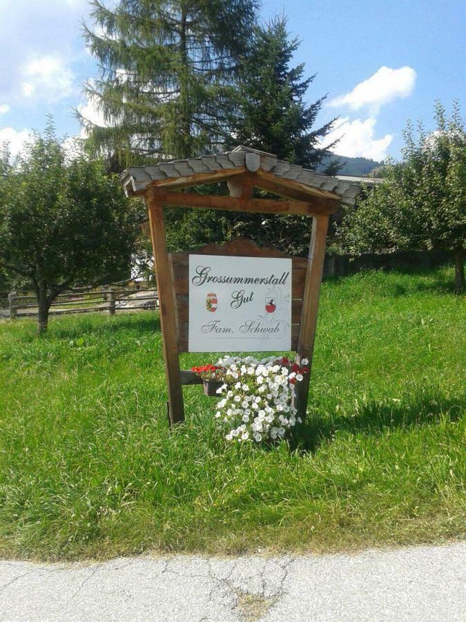 Grossummerstall Apartment Митерзил Екстериор снимка